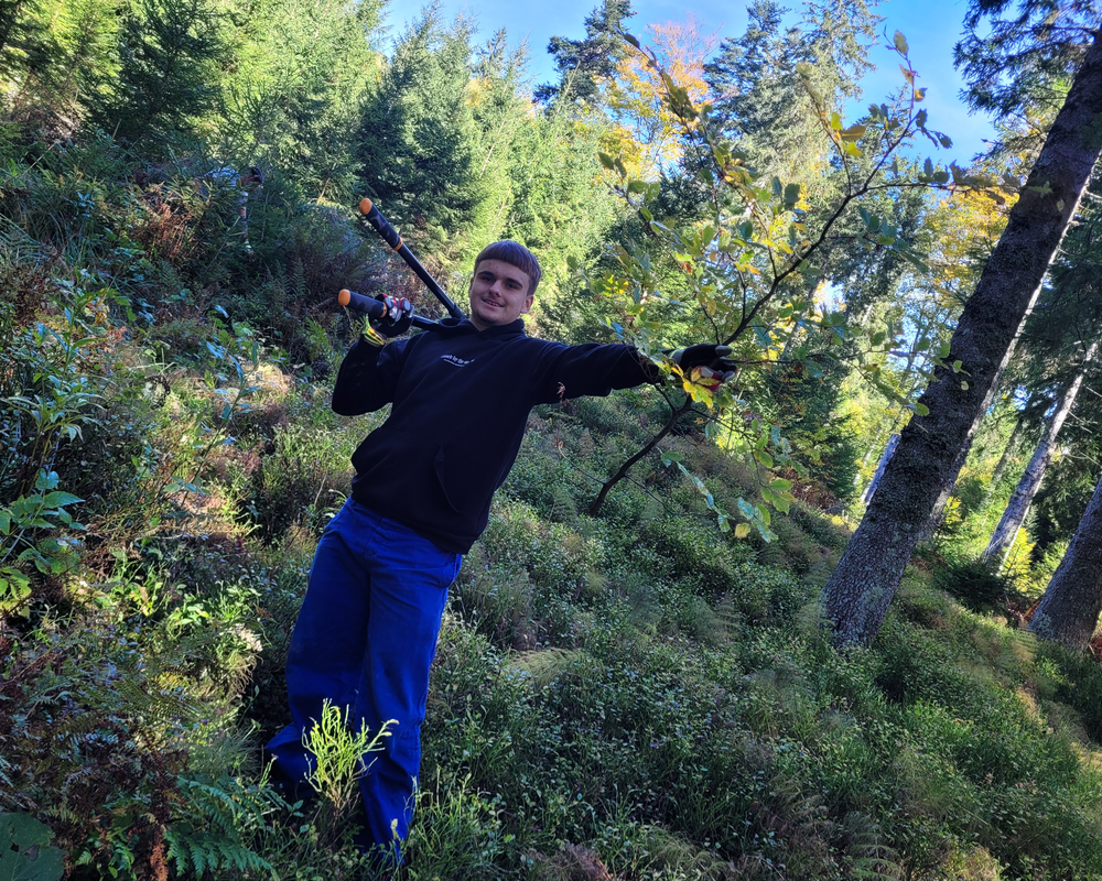 Auerhahn reloaded Bild