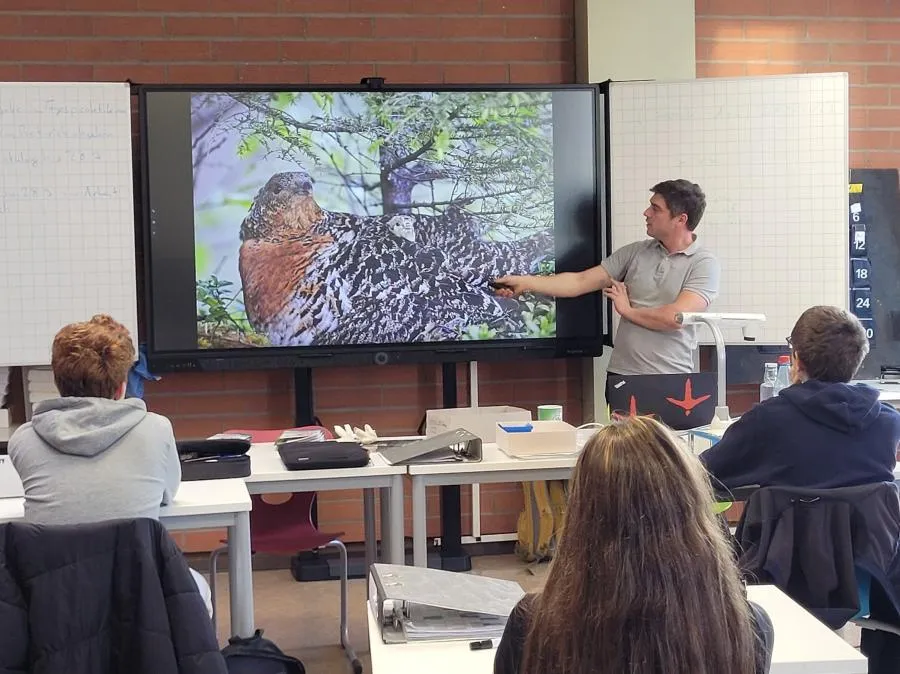 Gewerbeschüler übernehmen Patenschaft zum Erhalt des Auerhuhns im Schwarzwald Bild